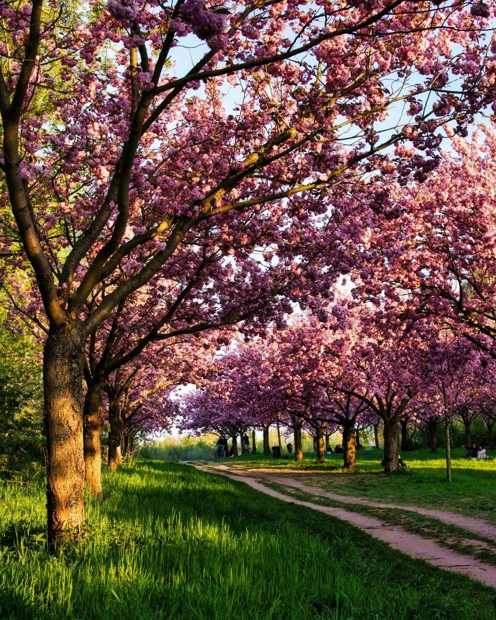 Spring Into The New Tax Year